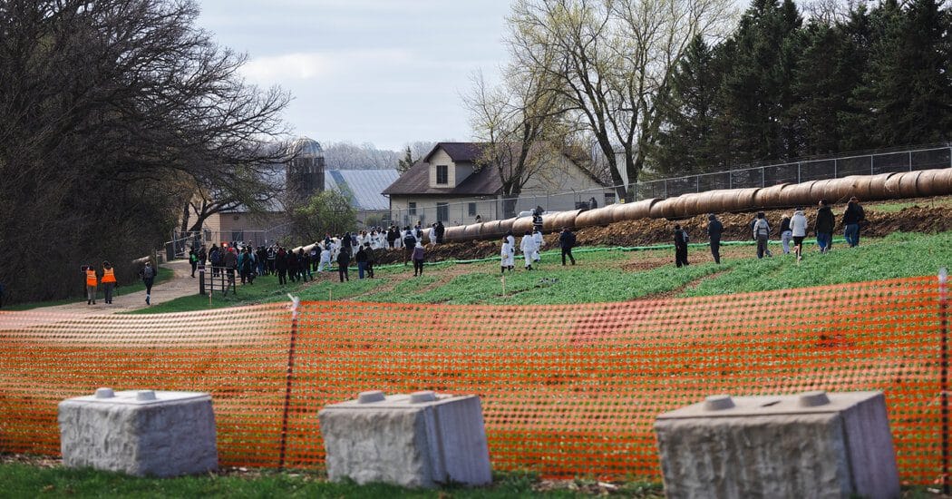 1,500 Beagles From Ridglan Farms in Wisconsin Are Getting New Homes: Last month, animal rights activists tried to steal some of the dogs from the Wisconsin facility, Ridglan Farms, but were thwarted by tear gas and rubber bullets. #BeagleRescue #AnimalRights #DogsOfTwitter #AdoptDontShop #WisconsinPets 1 3dc5fca7e0036fd85ec7a1a581eb3c85a7f63795