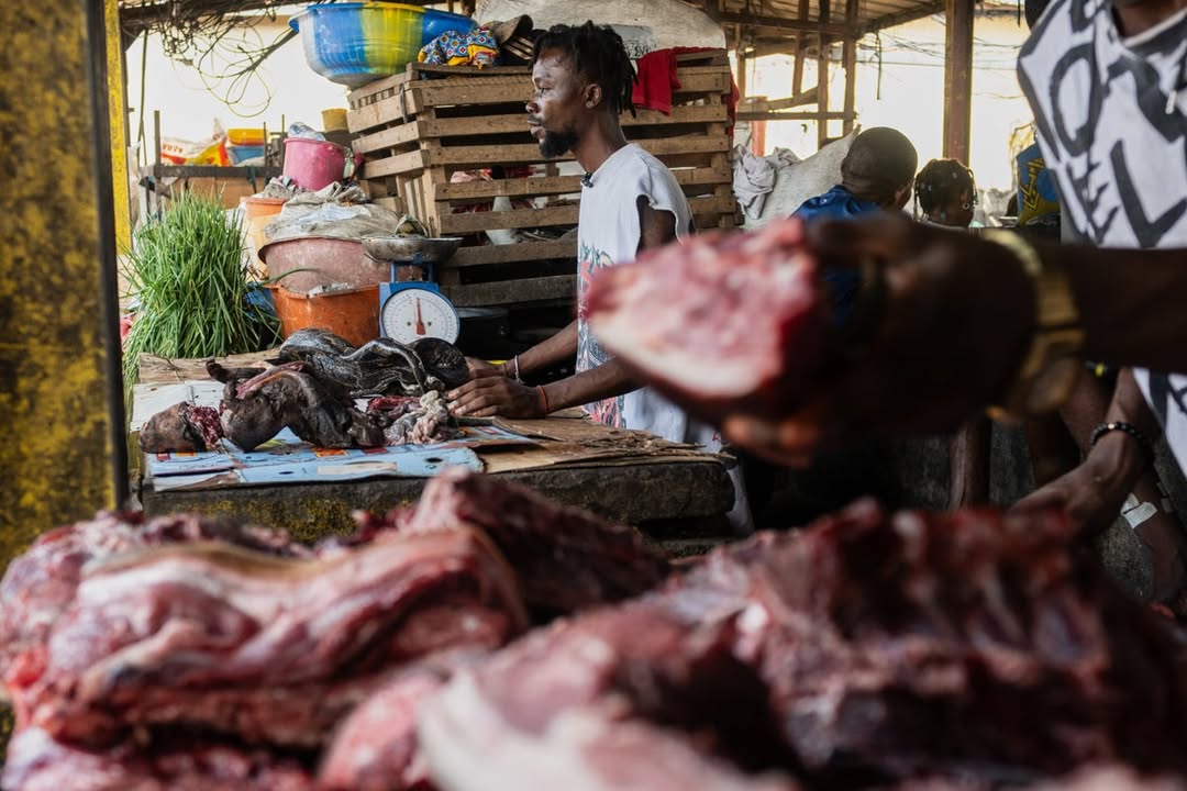 As Ebola scourges Congo, experts warn of link to the consumption of ‘wild meat’: For many in Congo and elsewhere in Central and West Africa, there is no shame in craving wild meat, a key part of the culture #Ebola #Congo #WildMeat #PublicHealth #CentralAfrica