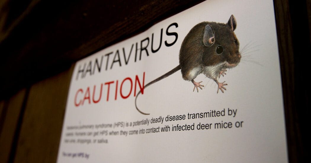 How a Hantavirus Infection Feels: ‘You Just Can’t Get the Air In’: Doctors say that the virus, which is rare, can quickly progress from flulike symptoms to something far more serious. #Hantavirus #HealthAwareness #RespiratoryIllness #VirusPrevention #SymptomCheck 1 cd7726fb05099935253f650641cfafec8b0df5f3