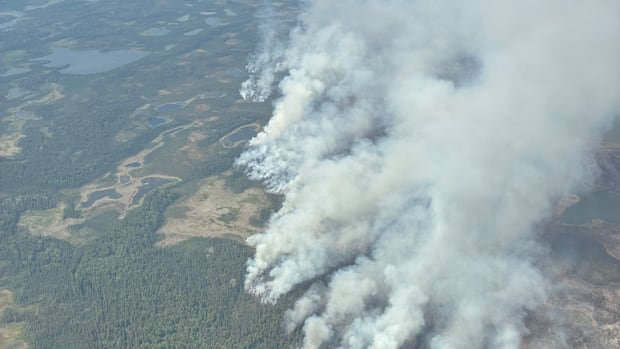 Residents of Fort Simpson, N.W.T., ordered to evacuate: An evacuation order was called around 7 p.m. Sunday evening due to a nearby wildfire. A fire information officer told CBC News the fire is not expected to reach the community overnight. Residents are advised to head to Yellowknife. #FortSimpson #EvacuationOrder #Wildfire #NorthwestTerritories #FireSafety 1 0c688fd2809499d853eb7a0b0aa72053014e709e