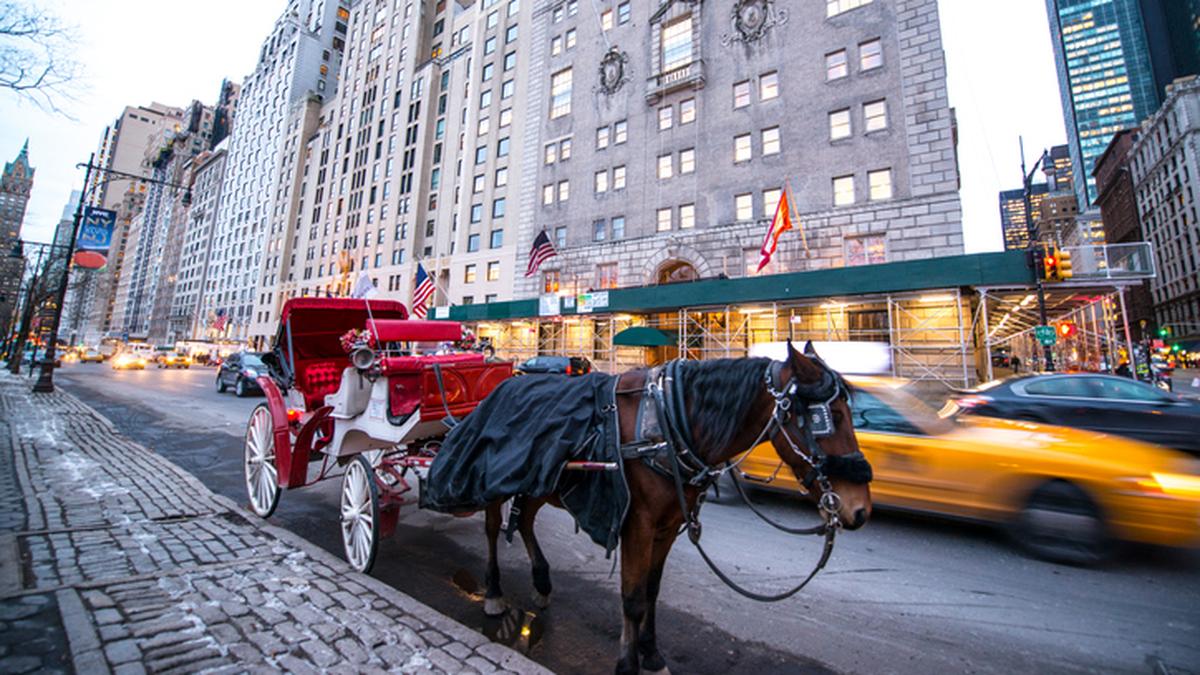 Indian teenager dies in horse carriage accident during his first trip to New York: Romanch Mahajan, 18, was on his first trip to New York with his family when the incident took place on Wednesday, June 17, The New York Times reported. #IndianTeenager #HorseCarriageAccident #NewYork #TragicEvent #FamilyTrip 1 5b4b579fcc04e5c2c6d376f8aa7a6d307ba1cf69