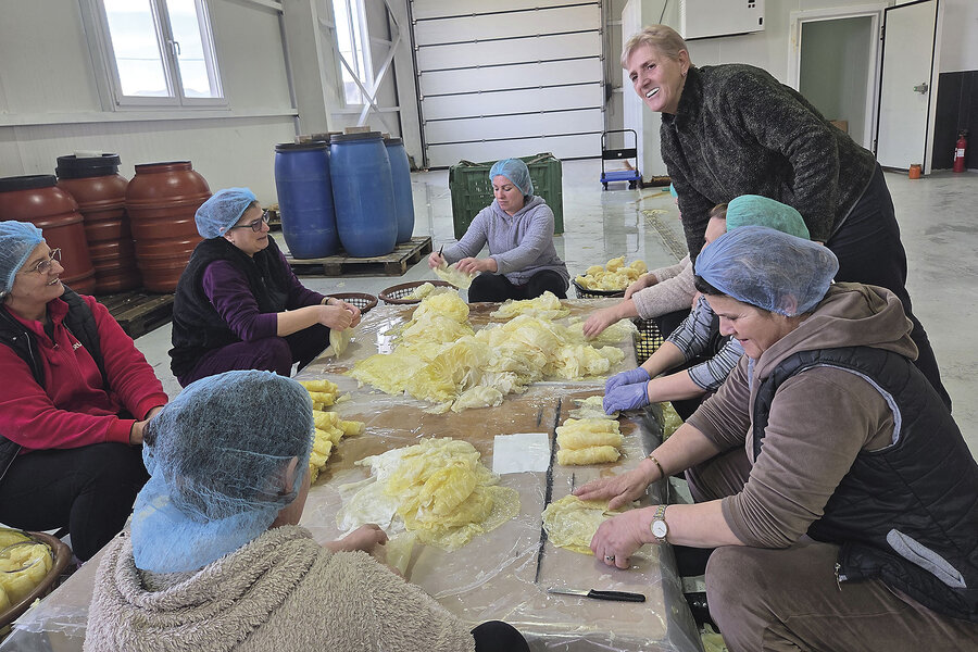 The Kosovo war devastated these widows’ village. They found strength in one another.: Fahrije Hoti, founder of the KB Krusha agricultural cooperative, helps women to heal, 27 years after a massacre in their village. #KosovoWar #WomenEmpowerment #SocialJustice #HealingTogether #AgriculturalCooperative