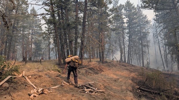 Crews called to rescue resident who defied evacuation order, B.C. Wildfire Service says: Wildfire officials in British Columbia are urging people to abide by evacuation orders, after they say crews were forced to rescue a resident who had stayed in a fire zone. #Wildfire #BCWildfire #EvacuationOrder #RescueMission #FireSafety 1 23d217451287b21d317c66372a420a2e2f029c94