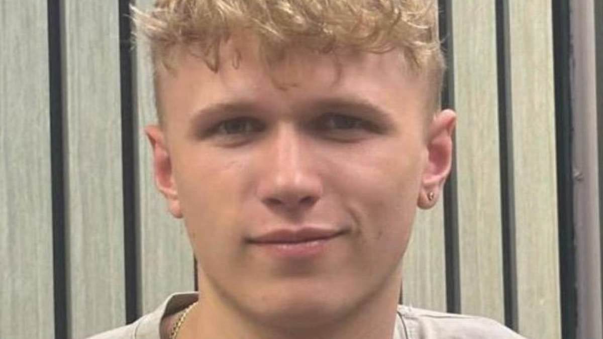 Trainee plumber, 20, killed in crash saves seven lives by donating his organs - 16 years after becoming a bone marrow donor for his brother with leukaemia: Edward Pearce, known as Bunty, was killed after the van he was in broke down on an A-road and was smashed by a Mercedes Sprinter van. #OrganDonation #SaveLives #Hero #LeukaemiaAwareness #DonateLife 1 38bf0789b8cc1bb9b8b6a45400a10e10eb9101cf