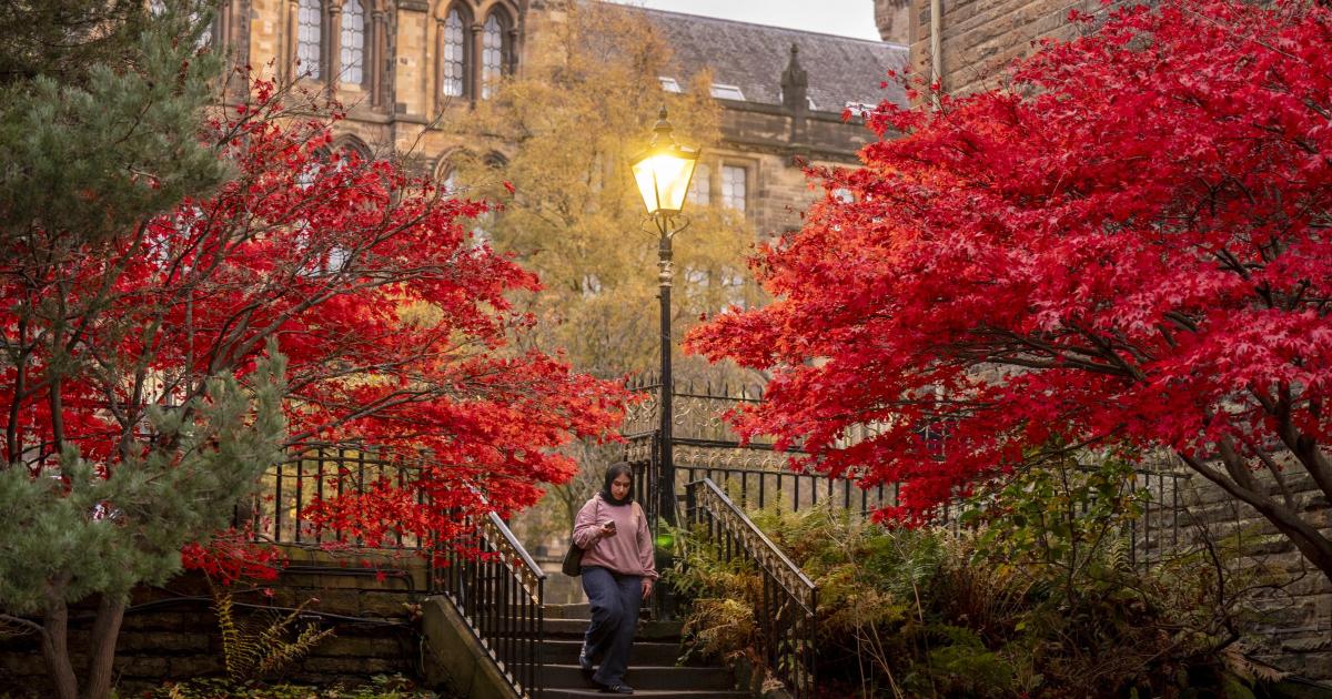 Glasgow researchers say breaking up sitting time could cut cancer death risk: University of Glasgow researchers found that replacing long periods of sitting with light movement could reduce the risk of dying from cancer. #Glasgow #CancerRisk #HealthResearch #SittingBreaks #MovementMatters 1 39d615c4fb030df420bf5bd38d5d2f8cc08e3b6c