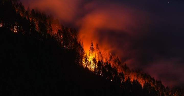 Is Canada doing enough to prevent forest fires from getting out of control?: Canada's ability to prevent and fight wildfires was questioned as smoke from Canadian wildfires drifted into the United States. #Canada #Wildfires #ForestFires #WildfirePrevention #ClimateChange 1 40876cacaccbc90d7de2e7a3537e004802909e2b