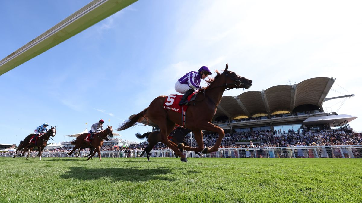 Glorious Goodwood tips: Wednesday's best bets for EVERY race from our top tipster Newsboy: Unmissable in-depth analysis of all eight races on the second day of the Festival which stages the week's signature race, the Sussex Stakes #Goodwood #HorseRacing #BettingTips #SussexStakes #RacingFestival 1 4f192ba4b8aae69f8afc1d93d7c79b102f5edbcb