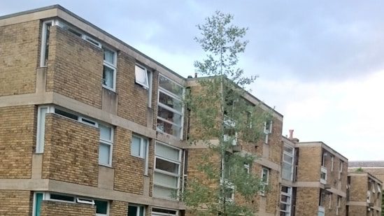 Tours of British post-war housing are a quiet hit: London’s overlooked brutalist homes are finding new admirers as walking guides reveal the hidden architectural gems of post-war modernism. #PostWarArchitecture #Brutalism #LondonTours #HiddenGems #Modernism 1 6b1ac8d3386c623b70e367d9768b8e6c068b5a68