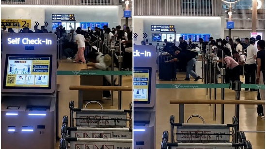 South Korea's Incheon airport weighs new barriers after ‘Daigou’ queue-jumping leaves staff injured: The footage showed dozens of passengers rushing towards check-in counters for a China-bound flight at Terminal 1's third-floor departure hall. #IncheonAirport #SouthKorea #QueueJumping #TravelChaos #PassengerSafety 1 6e02b07d2786c67df79fdfa39fd7f31ac61b6fa0