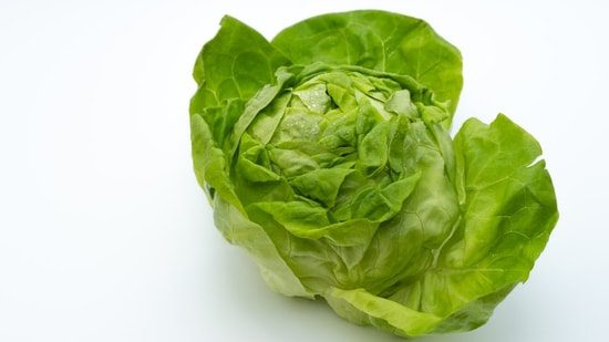 Cyclospora outbreak: Is lettuce causing over 3,000 diarrhea cases in Michigan, Ohio? What officials say: With more than 3,000 Cyclospora cases reported in Michigan and Ohio, health officials are looking into lettuce as a potential source. #Cyclospora #Lettuce #FoodSafety #HealthNews #Diarrhea 1 98ffb5cf3ca5551cb2a7a845e4ebb4e271d27a9d