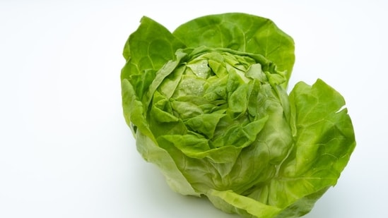 FDA cyclospora test on Taylor Farms' lettuce showed false positive, adding new twist to outbreak: The FDA test for cyclospora on Taylor Farms' lettuce showed a false positive, the company confirmed, amid the outbreak of the ‘explosive diarrhea’ parasite. #FDA #Cyclospora #FoodSafety #Lettuce #TaylorFarms 1 9baf9a676a8a998b450a84c24a45d76d9c0f569a