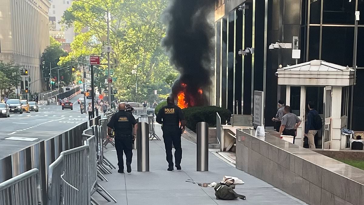 Lunatic arrested after setting Manhattan ICE building on fire: A man was arrested after lighting an 'incendiary device' outside of the New York City Immigration and Customs Enforcement field office in lower Manhattan. #Manhattan #ICE #NewYorkCity #Arrest #Protest 1 c4a8de444695dde11e46bae745c28db8920b5348
