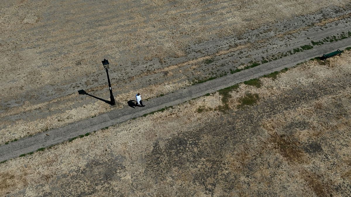 'Flash drought' declared in half of England as heatwaves result in driest July on record: Multiple UK regions have officially been declared in drought as farmers warn crop damage could trigger higher supermarket prices and even shortages of baking potatoes #Drought #FlashDrought #ClimateCrisis #Heatwave #UKWeather 1 d575fef5def9cfd81dff778d08ac84df9b1f58c1