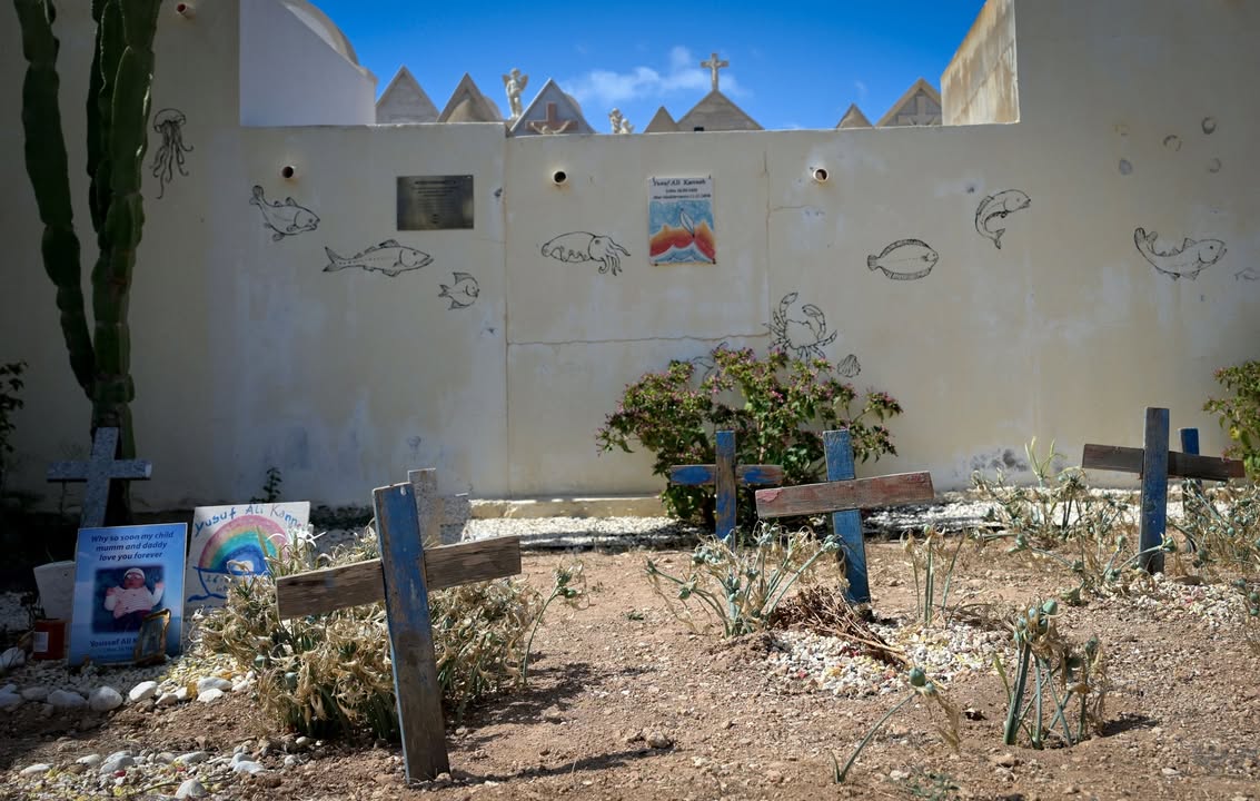 Pope Leo XIV to spend July 4 with migrants on Italian island of Lampedusa: Only about 80 miles from Tunisia, Lampedusa is a main gateway for Africans escaping poverty and violence to enter the continent of Europe. #PopeLeoXIV #Lampedusa #Migration #RefugeesWelcome #HumanRights 1 e24e6bb477b3817e10d57f4a1fea34fd37e489e3