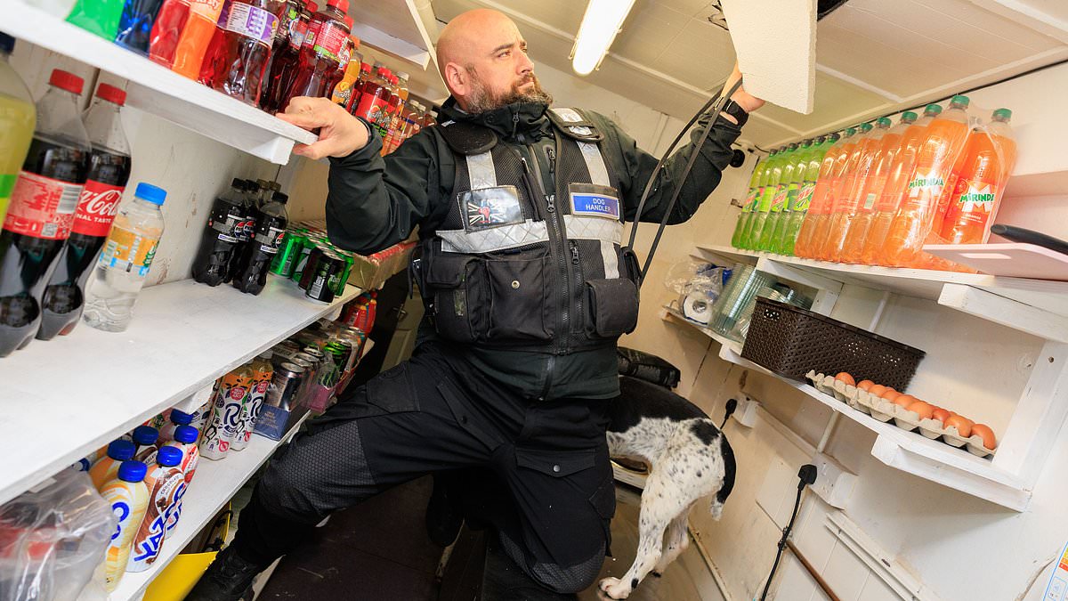 Labour's high street failure: Nine in 10 'dodgy' shops still open despite pledge to crackdown on illicit goods 1 00684ccb14aa93fce12113bbc337d97568b1d467c5ea0cecb105a7625ddfb845