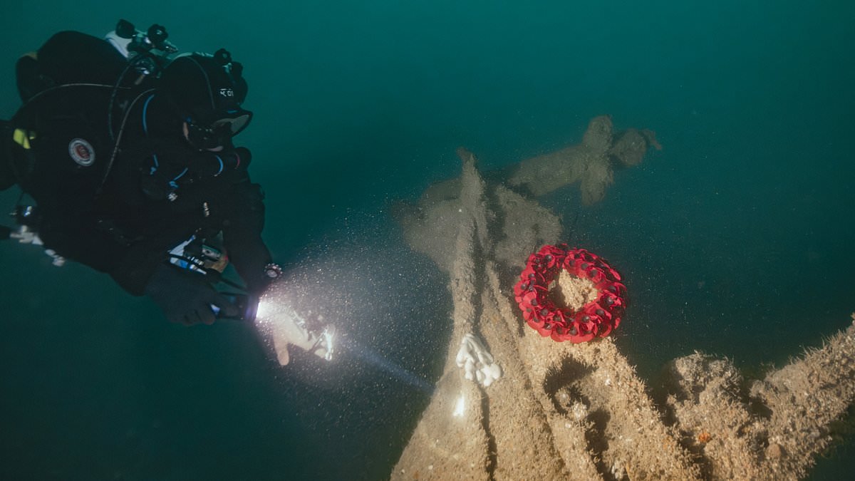 HMS Tiger wreck is found at the bottom of the Channel 118 years after it was sliced in half 1 0299f898373226d7e2e5bb108030c4f00593c50d37b501b17f49775e64da347c