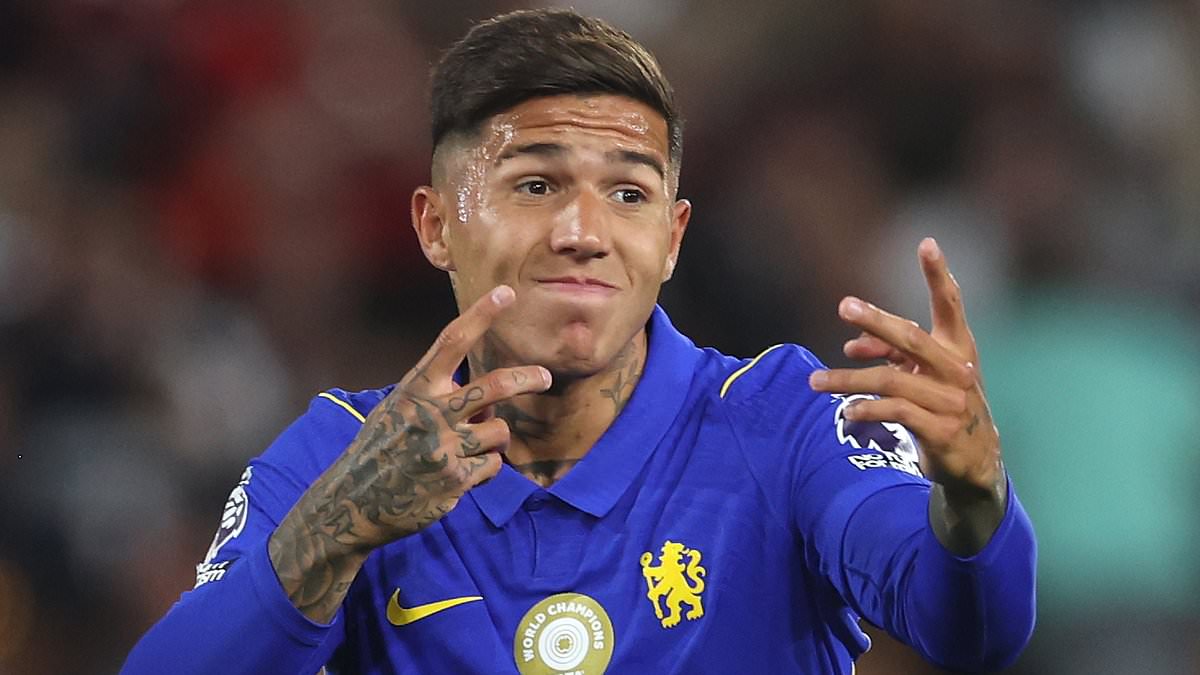 Chelsea braced for £100m Man City bid for Enzo Fernandez... but manager Xabi Alonso insists star will play in League Cup clash with League One Luton 1 04cde9c36bb70df019d254454d995b382ffffc33d4bfabbbafd22edc353ecae0