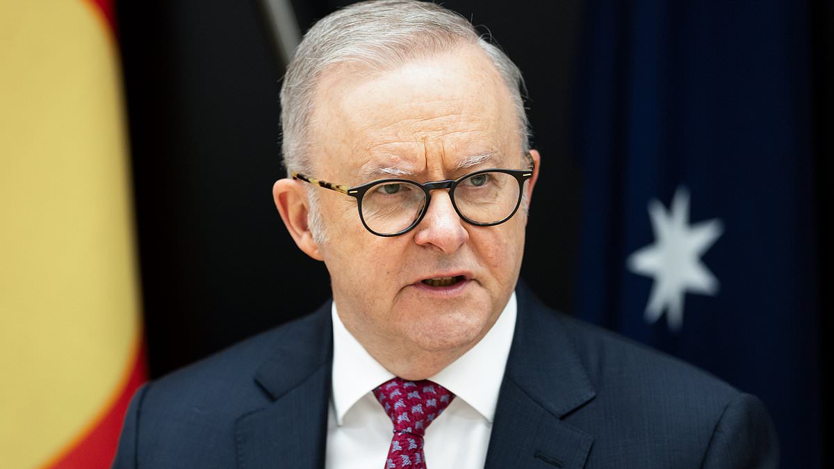 Albanese government backtracks and will not lower refugee numbers after intervention 1 062aec91b31da705543c49c2560f955ba8b704806134b52be965485dda06e628
