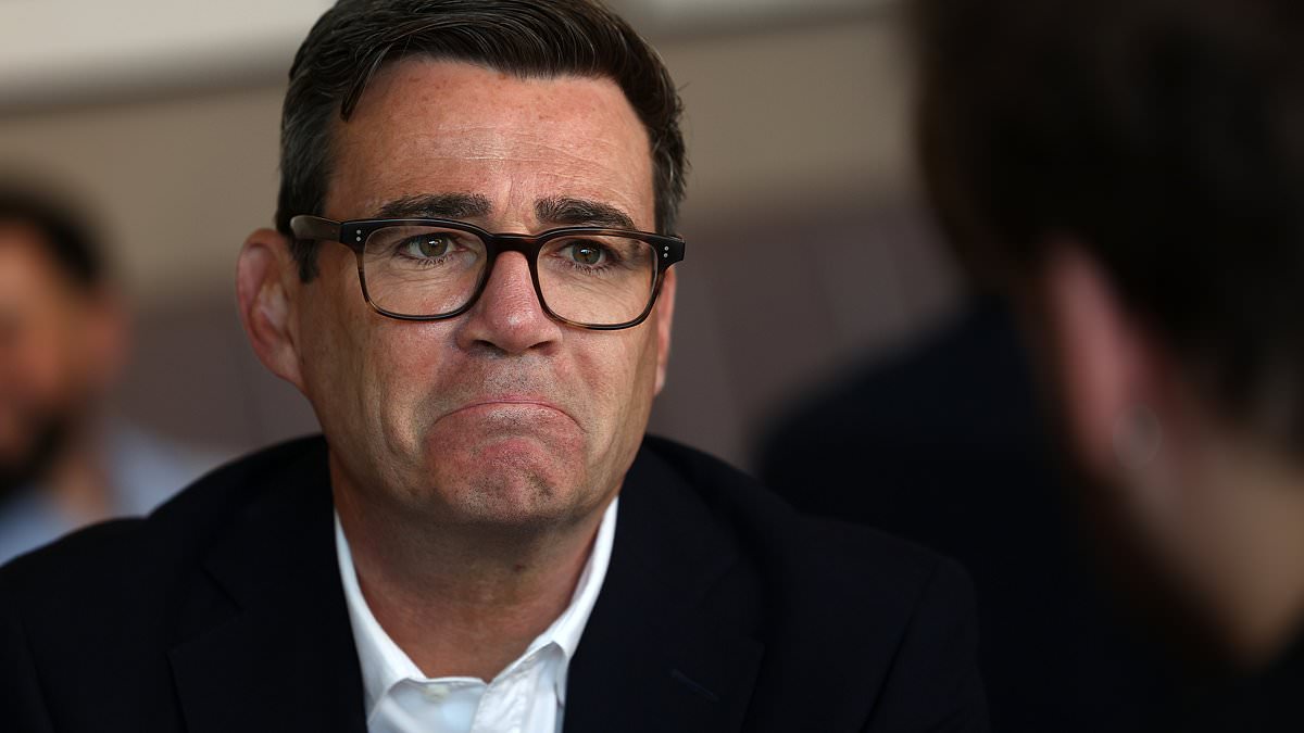 Former M&S boss brands Andy Burnham's plan to 'save high streets' as a 'lot of b******s about nothing' 1 083e2f83c8ab747f2b063bd1246359cc3d6552a94cfa8731ef7a7021c2408014