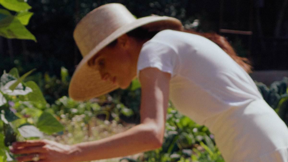 'Soaking in the last of the summer': Meghan tends to vegetable garden in new As Ever photo days after she and Harry returned to UK - as sources reveal how they spent last weekend in US 1 0ab1d42468393f1ed4514a620b8800b451e3afa11c91b1c639887325667bfbcf
