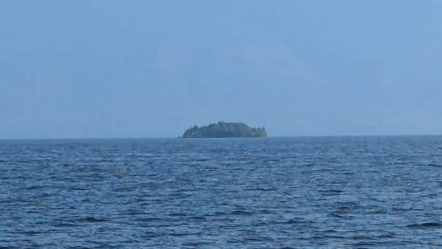 An island mysteriously appeared — then disappeared — on B.C.'s largest reservoir 1 151f11b233b2d40858c40be5a1c9e83db0d95e305a137619c0f3be15e9279a8a