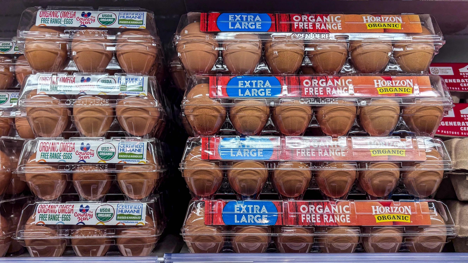 FDA issues over 1.5mn eggs recall over ‘death risk’ due to Salmonella: Which brands and states are affected? 1 167433960b96bcbb88044ebb17bc48099e5a0b57f15e198f0f769e767c6c2df4