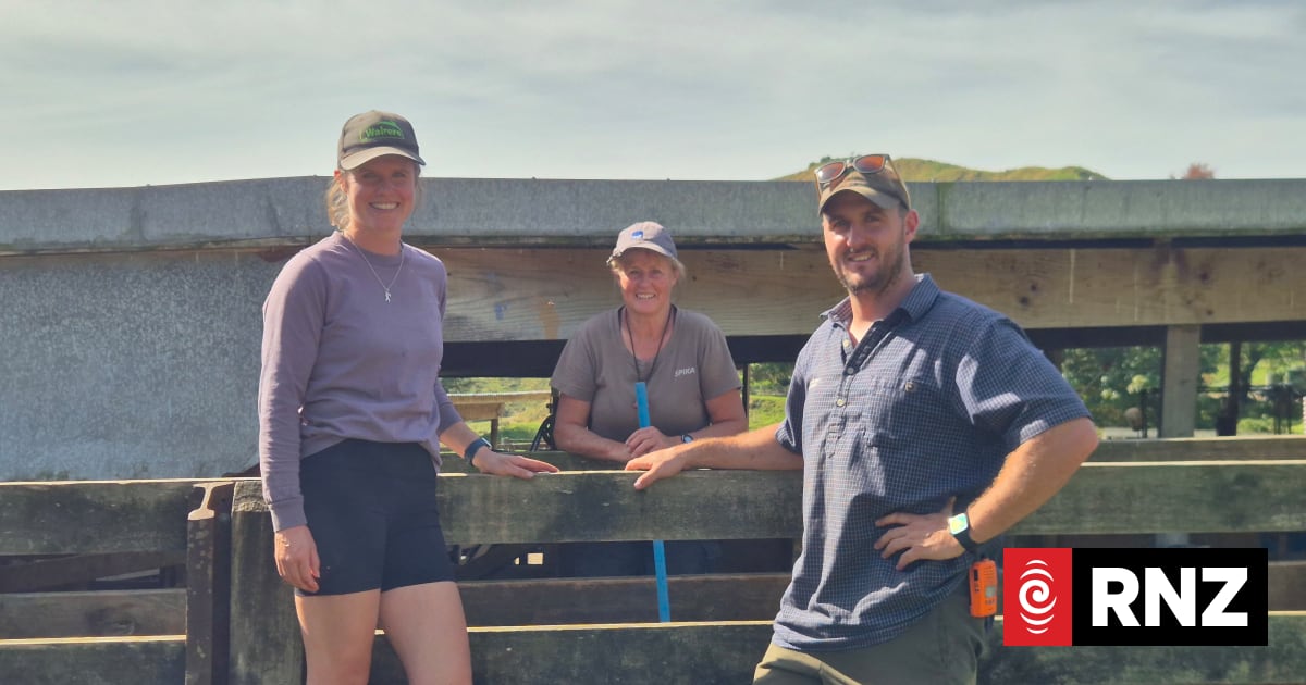 Country Life: Technograzing and virtual fences on a Taranaki farm 1 181abeeb9ba2af0bd4a5cc839b32a36a9e9b6dfd500b3530cf3fcb5ac0f61712