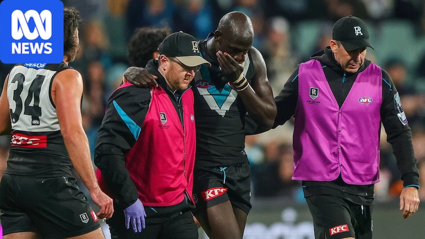 Key Demon faces nervous MRO wait with AFL finals near after high shot 1 200e737e56b7eb58674808ce83a8519b1ee3ab29011c88f3817627b4c3a411a0