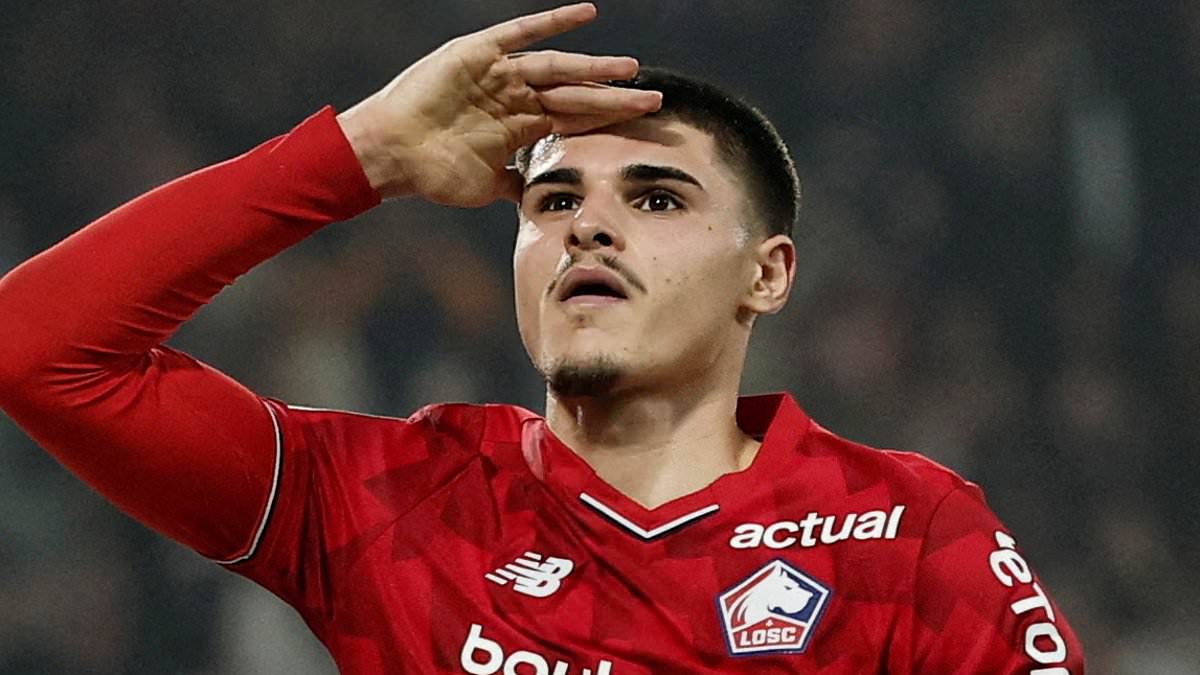 Newcastle agree £51.4m deal for Lille forward Matias Fernandez-Pardo... paving the way for Nick Woltemade to join Juventus 1 239742493a3292c4f08dcceae2ae32e21575f5c8de0d24e90194078661934947