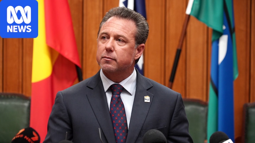 Townsville mayor fined after altercation with LNP staffer on pub crawl 1 2b12a9529b7b954f1740b48949dcb0ad436429a1610efe1a42c10d6cea937543