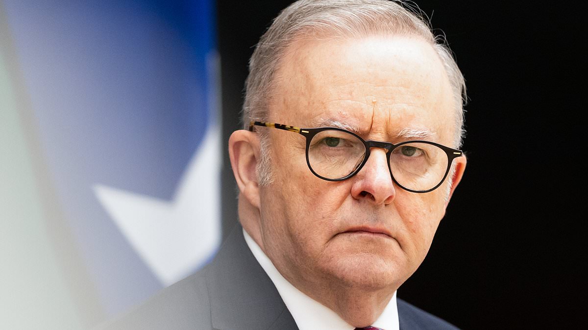Anthony Albanese overrules his own senior minister's office and declares refugee intake won't be cut next year 1 2b325e0892db52dd92726e85ddd1848350c7eeaa71e69df578dea36eba26c166