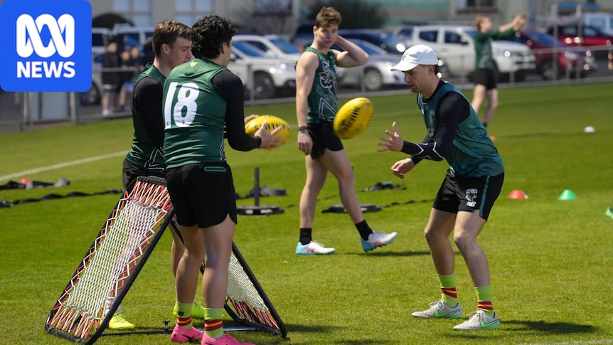 Miraculous inaugural season has Tasmania Devils daring to dream 1 34bee664688c7e32b18b1baccd09849c7996b06e819ceb0e912b7b630c7cae60
