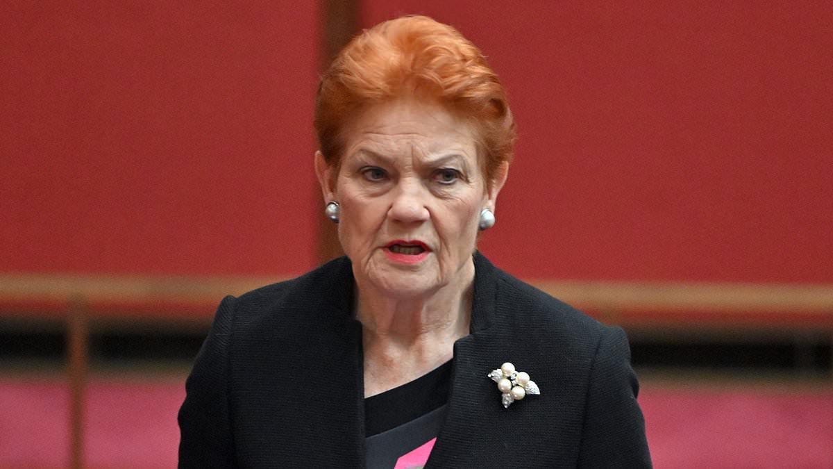 Pauline Hanson struggles to name leaders of Australian allies: 'I can't remember' 1 390df5f72cf4a1d25cbfaefad0cb2a9a3dcb2d5ff2ade0598f8fcfdb347940a3