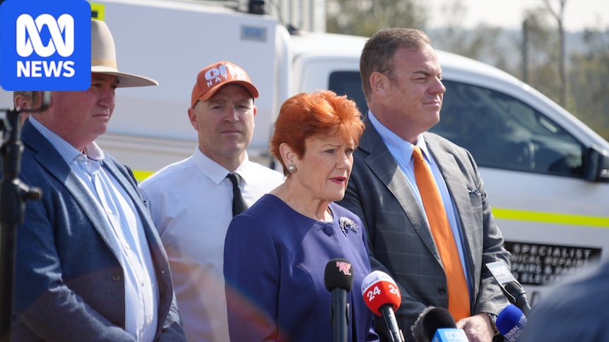 One Nation's state leader wants NSW to be more like Texas and Florida 1 42b09591f60e7a063ee528ca1e84c6c9b0c0a64f3516dc179ddc16edf88c450b