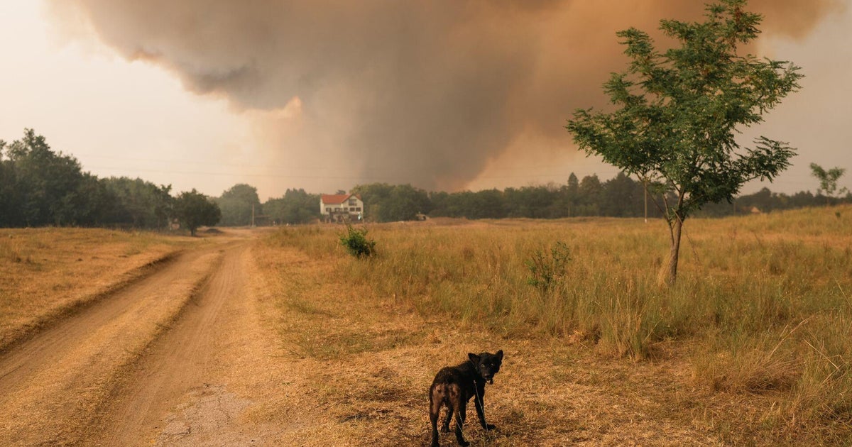 Europeans face energy crisis as heat wave brings wildfires and drought: The Danube River hasn't been this low in over 200 years. Wildfires are scorching multiple countries in Europe. Less water means less nuclear energy generation, bringing an energy crisis. Ramy Inocencio details Europe's heat wave struggles. #EnergyCrisis #Wildfires #HeatWave #Drought #ClimateChange 1 469f683a2498f6d06af679135b860b23d1553d3e