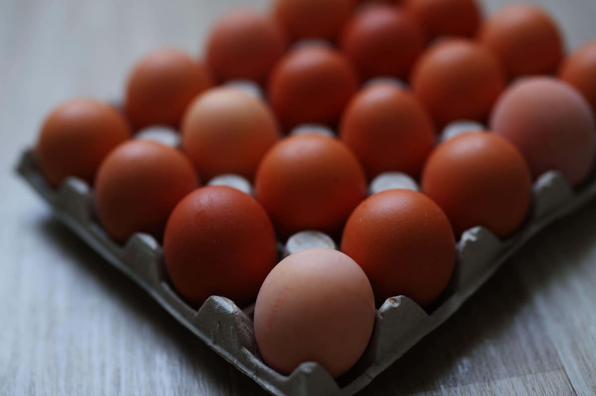 Rise in salmonella cases linked to imported eggs 1 47108460308401fe72436129b02176d74e3e2736c7231186a31b10c6c6e37701
