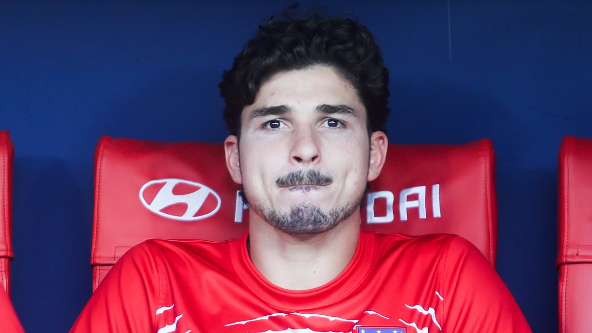 Arsenal refuse to give up on Julian Alvarez as he skips Atletico Madrid training for a second day due to mystery 'illness' - as his club outlaw him from joining Barcelona 1 50abddc706ab65a978da50cf5e5b78c4bc818abc1149fc253069304b21cc87aa