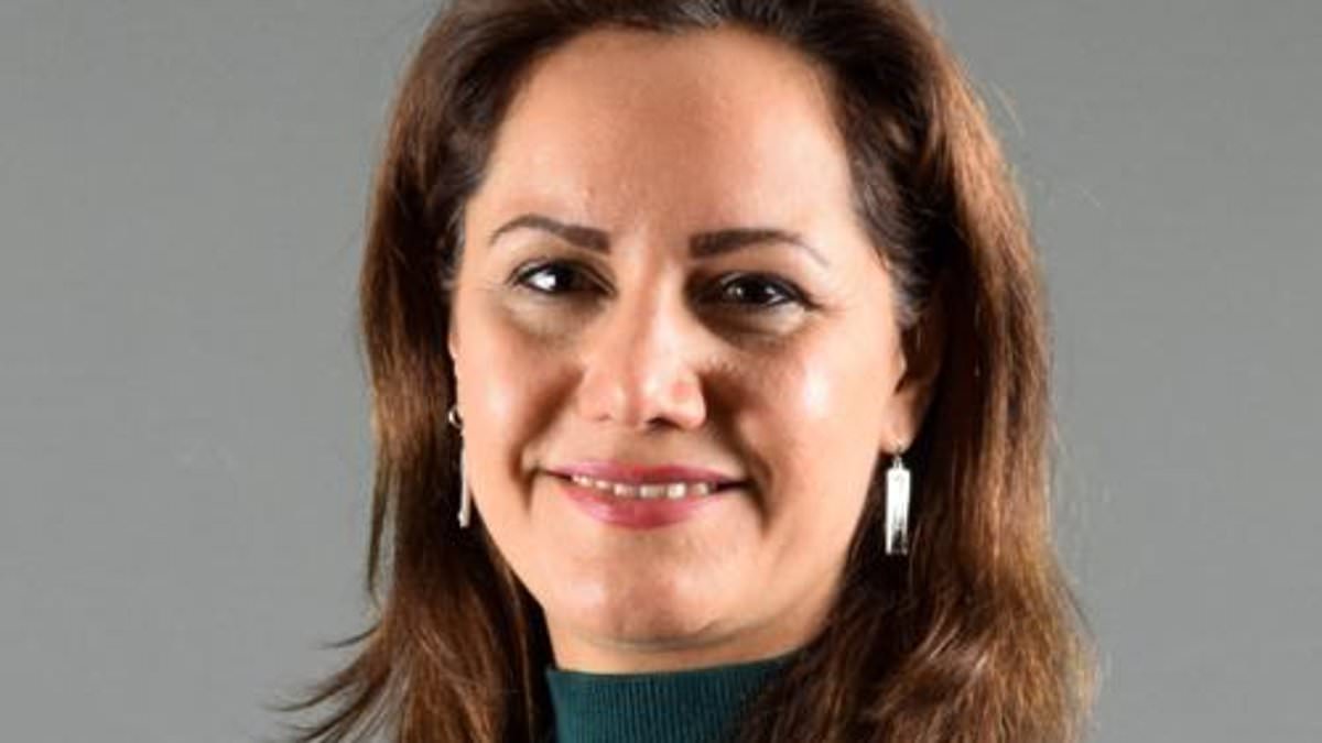 Maine doctor spent FOUR MONTHS trapped in Canada after DMV glitch involving her driver's license, lawsuit claims 1 50b861ef5e1745e566a9dd268a022d72dcf0b3770063e5516f2fd557cb2c6506