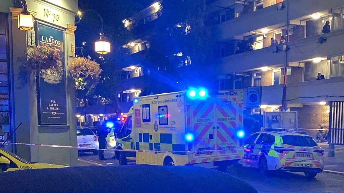 Man 'shot' outside London pub in front of horrified bystanders as police lock down street 1 55ef2ecf0919a0b9460a93c8b914a3198ff9a7dec61b1cf64dcc59d2fb4c6004