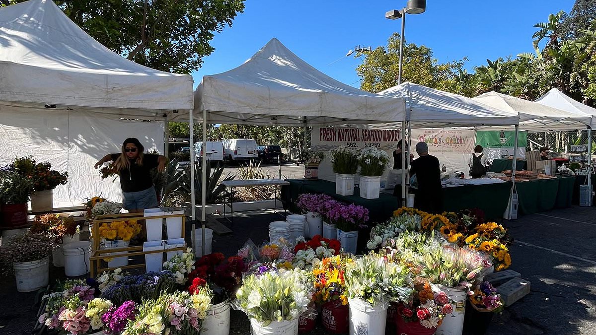 Vendors at ritzy celebrity-favorite farmer's market up in arms as their stalls selling $14 organic eggs and artisanal cheese are abruptly moved to parking lot 1 5cf9fd5a536f8a5edb1bc5f5ee2e44c010012893b033d089e164e6471c583bf6