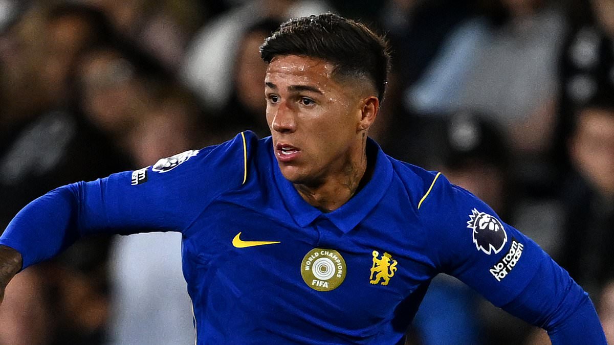 Chelsea 2-0 Luton: Enzo Fernandez's absence signals he is Man City-bound - but Xabi Alonso did not need him here - as Mike Penders shows his potential ahead of Emiliano Martinez's £7.5m arrival 1 5e25b2b9839bf76750ad116c32c5b7a552a72127524350cf61b2fe60785e3de6