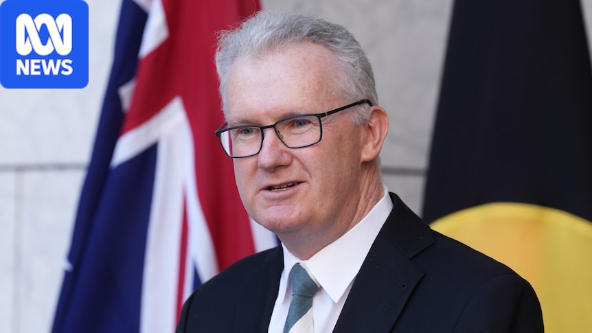 Warnings Labor's plan to delay family reunions could be human rights issue: Experts are divided on the government's plan to increase its control over net migration figures, warning the devil is in the detail. #Migration #HumanRights #FamilyReunion #Australia #LaborParty 1 60c86cd1e507fb93ac138226f6df60727f5cc325