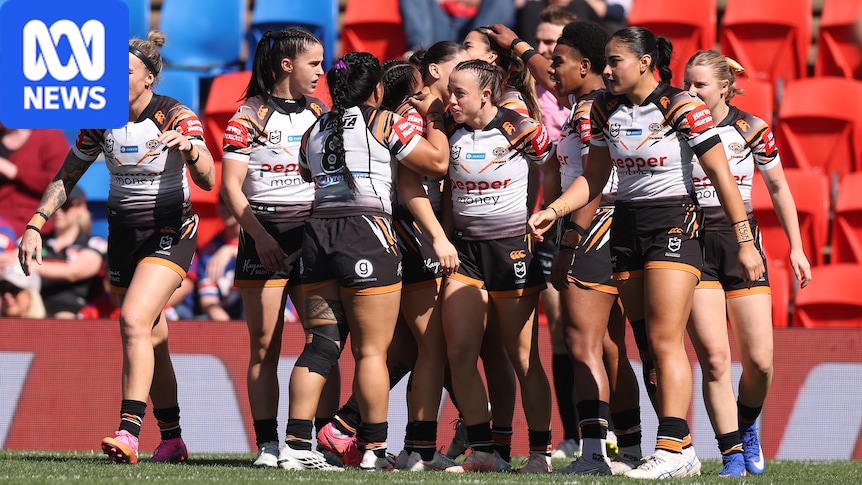 The secret of Wests Tigers remarkable NRLW rebirth 1 6275603500bfd2e7188922615020b3ba05b76295ce488c0462d20f26be88dcce
