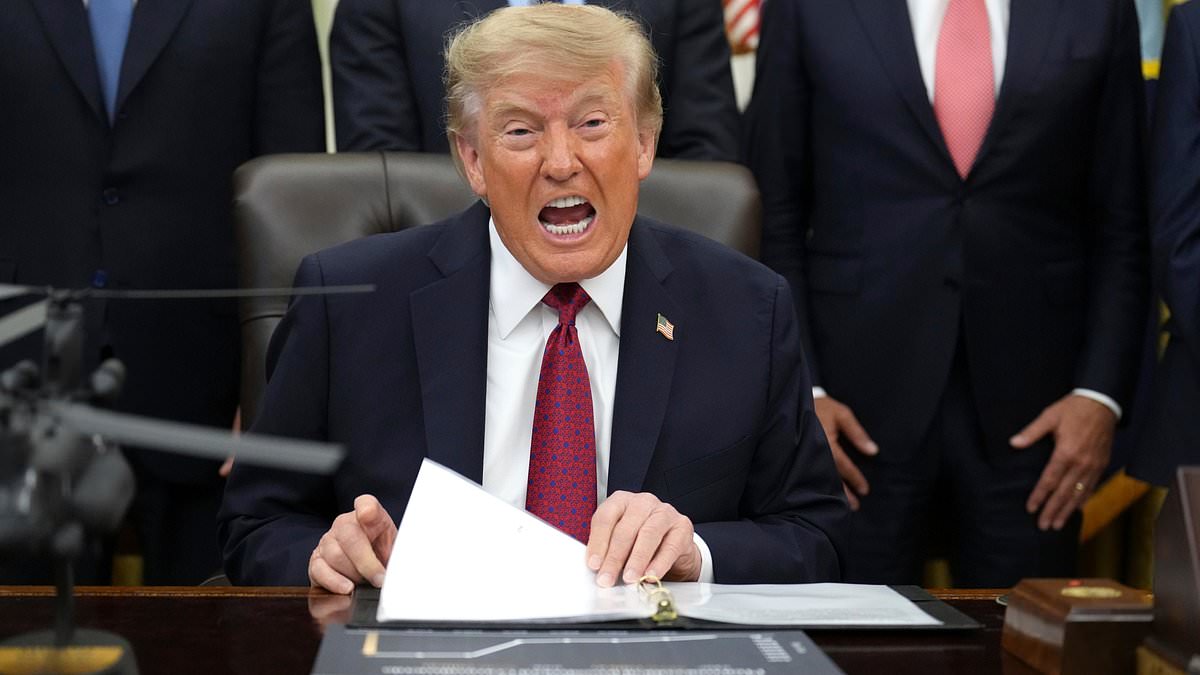 Trump orders shock voter fraud crackdown across nine states as secret ICE blitz starts TOMORROW 1 6595b5e412e01b4a9c123aa9dacc942fa517906b844d00b2ba9b08aab05991bb