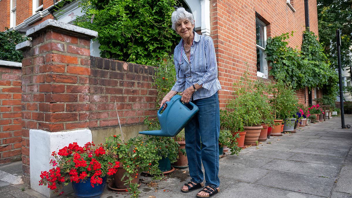 Killjoy council tells grandmother, 89, to remove beloved street garden she's spent more than two decades on after 'anti-social behaviour' complaints 1 6bc519b6e1bddc6e83aa523e47899505de1f22ed07b26ce2a61f7f8cebf831c5