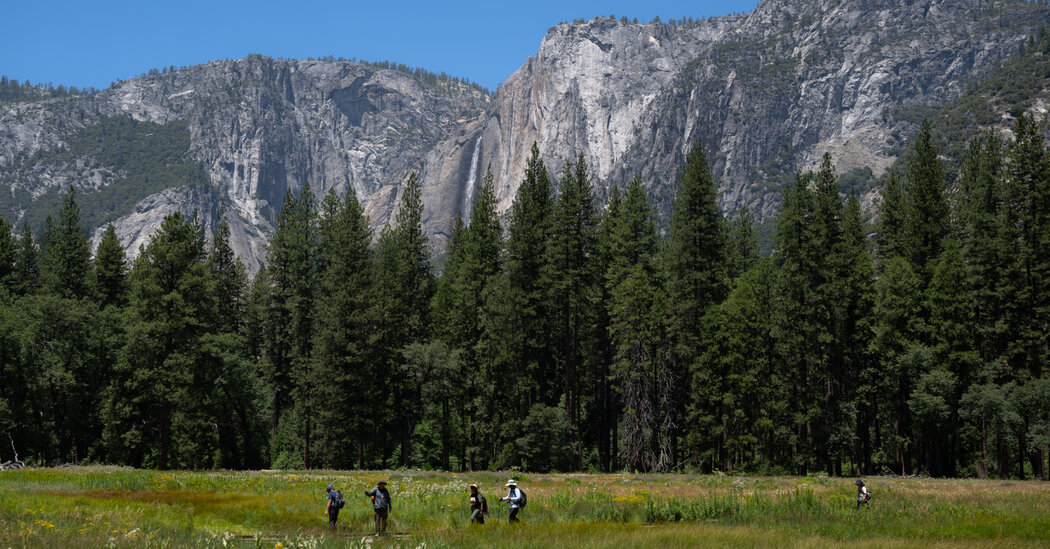 Trump Administration Looks to Give a Swath of Yosemite Park to Developer 1 6bd2d59e8cb9e09948d536e53ab7f79095af8cdb29a27dffa44bee024be9b5cd