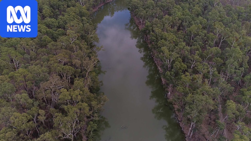 28,000 irrigators lose $1.5-billion class action against MDBA 1 78cd5fa874474a1e23cc5129f30c54d1215457bbf3526eb88bf7ba63d034d795 1