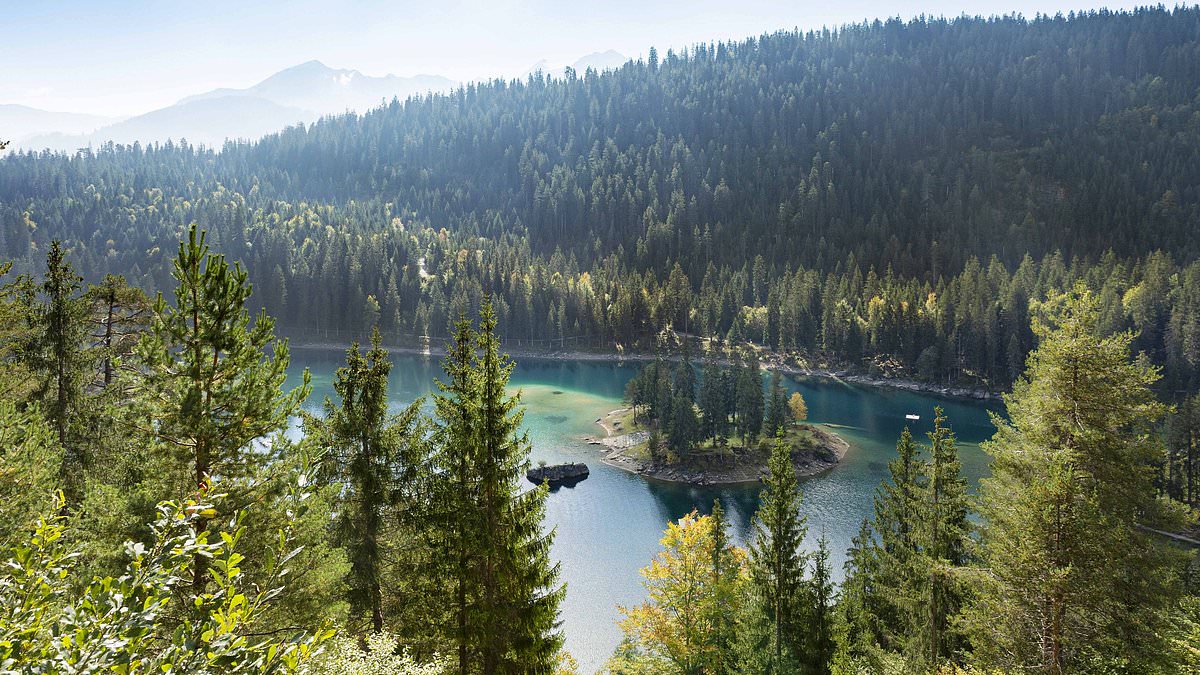 British boy, 17, drowns in Swiss lake after trying to swim from island to shore during family holiday 1 83c611ae572da02ced79a3d2390b93cdebbf8034b5cd0c27b46c56142a07448e