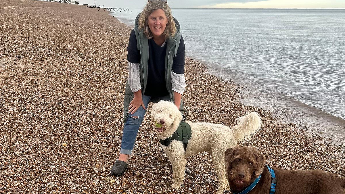 Why I'll never hire a dogsitter again: My holiday was ruined when I learned the truth about the 'friendly' pet lover I had left in my family home. This was the message that left me shaking... 1 894cb955258a88b9f3c591c01226e3ab3416d8b8737dcc8b1a9192eb3e68e6dc