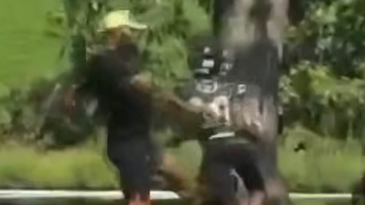 Parent cited by police for 'cowardly act' on helpless nine-year-old football player during game 1 8a9e538058c85607f3f96fd3a0eb21f594a02aa6fdca538f808b3b73f06c5af0